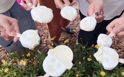 黄色软件有哪些